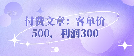 付费文章:客单价500,利润300-NoxBlaze's Blog