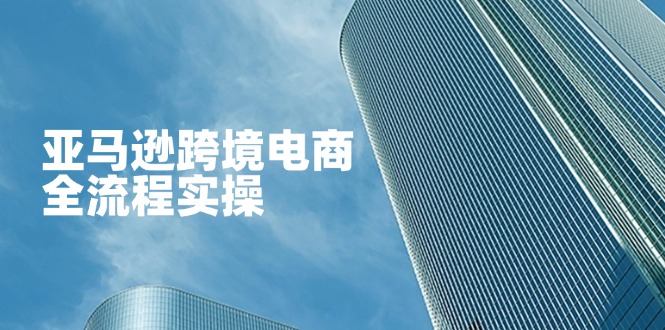 (14252期)亚马逊跨境电商全流程实操,教你从零开始,掌握店铺运营与广告技巧-NoxBlaze's Blog