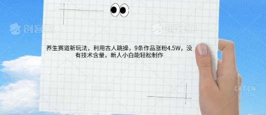 AI养生赛道新玩法，10条作品涨粉5.2W，操作简单，新人小白能轻松制作-NoxBlaze's Blog