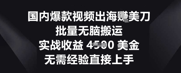 国内爆款视频出海挣美刀，批量无脑搬运，实战收益4.5k，无需经验直接上手-NoxBlaze's Blog