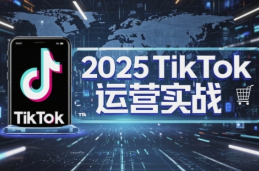 2025TikTok电商运营,掌握TikTok店铺运营核心技巧,实现低成本高转化-NoxBlaze's Blog