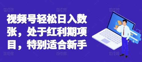 视频号轻松日入数张,处于红利期项目,特别适合新手-NoxBlaze's Blog