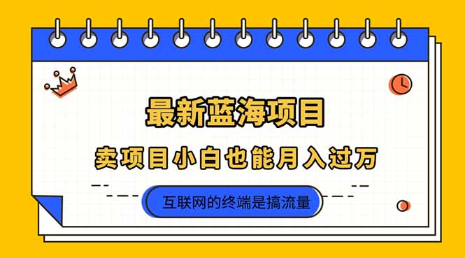 (14289期)2025年最新蓝海项目,卖项目小白也能月入过万-NoxBlaze's Blog