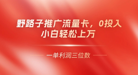 0门槛推广流量卡，一单收益上百，0投入，小白月入过W-NoxBlaze's Blog