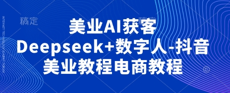 美业AI获客Deepseek+数字人-抖音美业教程电商教程-NoxBlaze's Blog