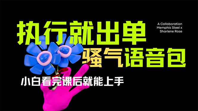 （14170期）爆火全网的开车导航骚气语音包,只要执行就出单，小白看完课程就能实操...-NoxBlaze's Blog