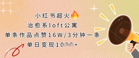 小红书超火的治愈系loft公寓,单条作品点赞16W,3分钟一条,单日变现数张-NoxBlaze's Blog