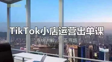 TikTok小店运营出单课,从开店选品、运营出单、发货回款,进行全流程讲解-NoxBlaze's Blog