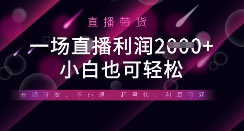 半无人直播带货，一场利润数张，适合所有平台玩法，小白也可轻松-NoxBlaze's Blog